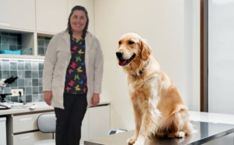 Kristina Shugarman tweet media