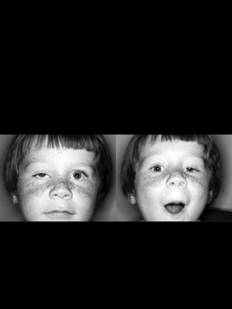 RAED ALOTAIBI tweet media