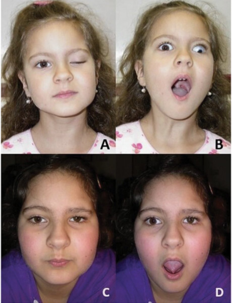 RAED ALOTAIBI tweet media