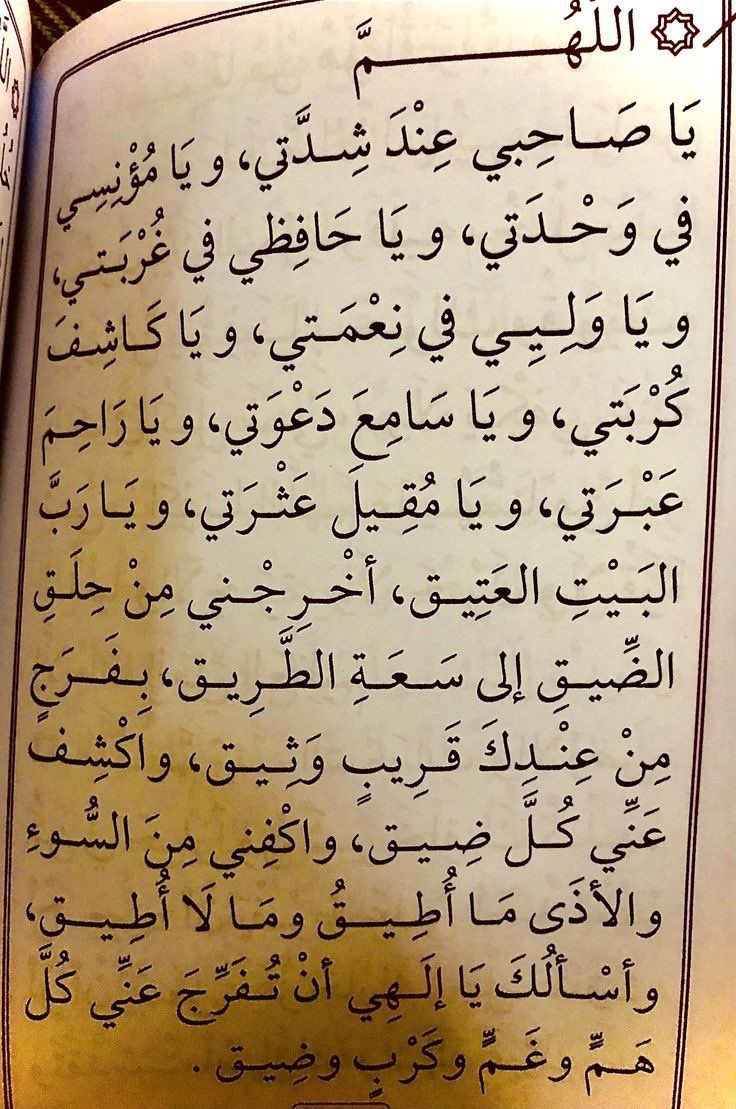 7 وآخرون tweet media