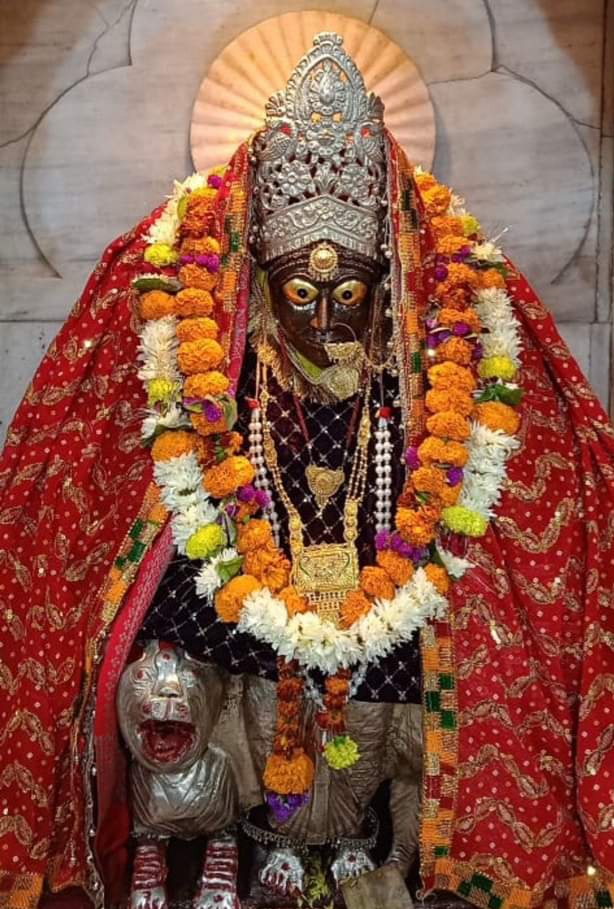 dr Avanindra Kumar Rai tweet media