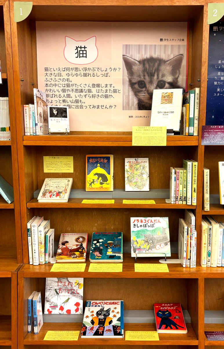 白百合女子大学図書館 tweet media