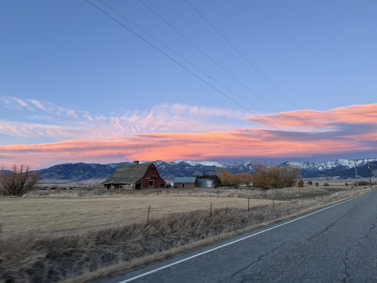 Brian Morse tweet media