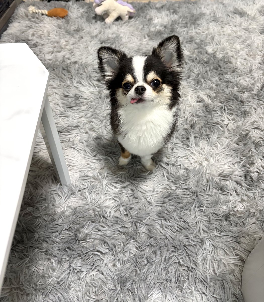 きょうは、ごはんくれそうだね。