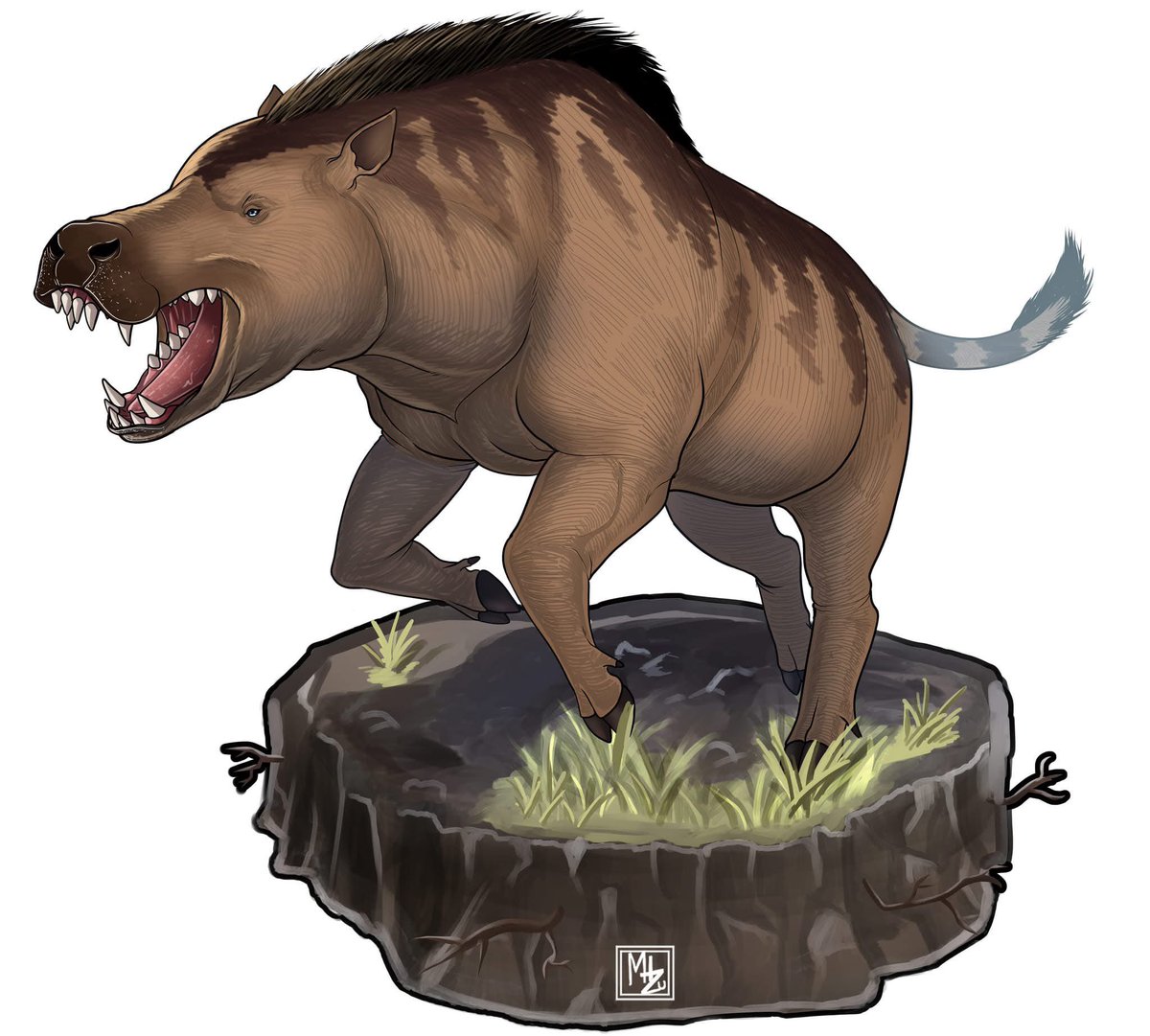 ArtMizuX's tweet photo. Andrewsarchus mongoliensis
#paleoart #ArtistOnX #illustration #andrewsarchus https://t.co/EiPt4vhnfu