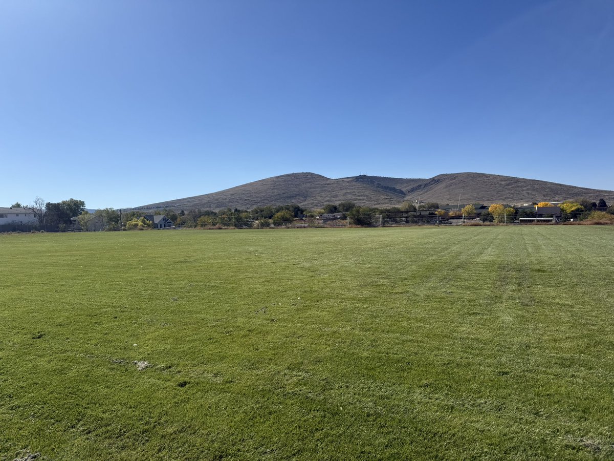 Cody Cameron tweet media