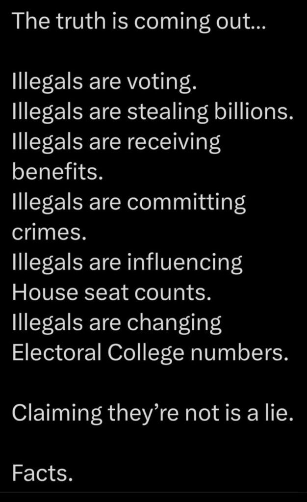 Leah Rain ✝️🇺🇸🎸🏝️ tweet media