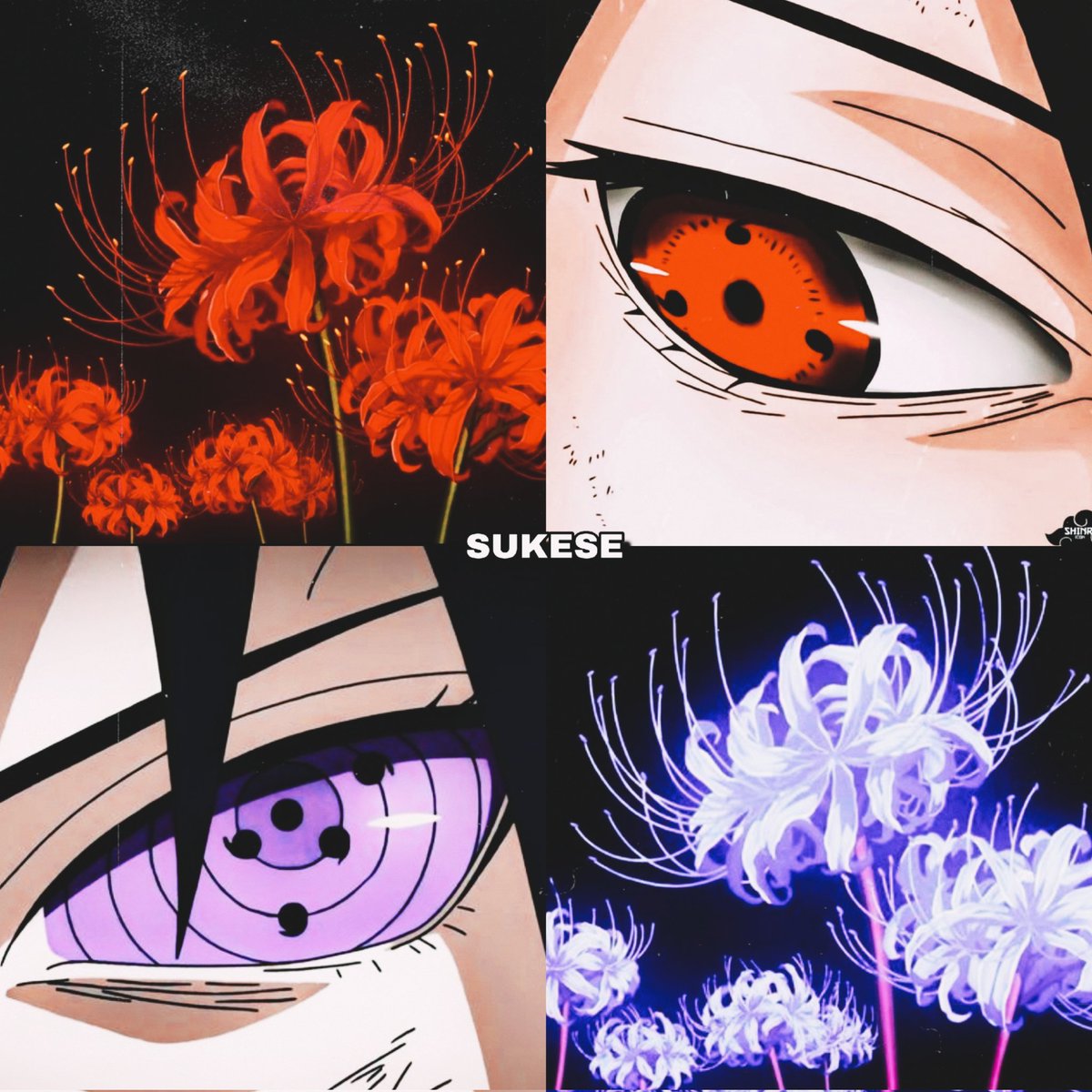 sukese |⚡| tweet media