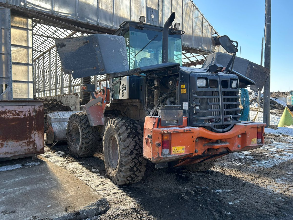 よもぎむし (@harry6516) / Posts / X