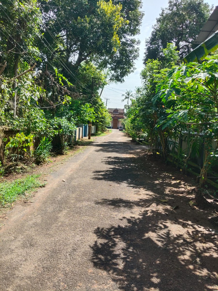 Relationship is a bond between two individuals who may not be similar in many aspects, but equal in their commitment to understand each other.❣️❣️♥️😊

Good morning Dear X Family🌄❣️
Have a Beautiful Day ❣️🌹❤️ 

#ThursdayMorningVibes 
#MotivationalThoughts