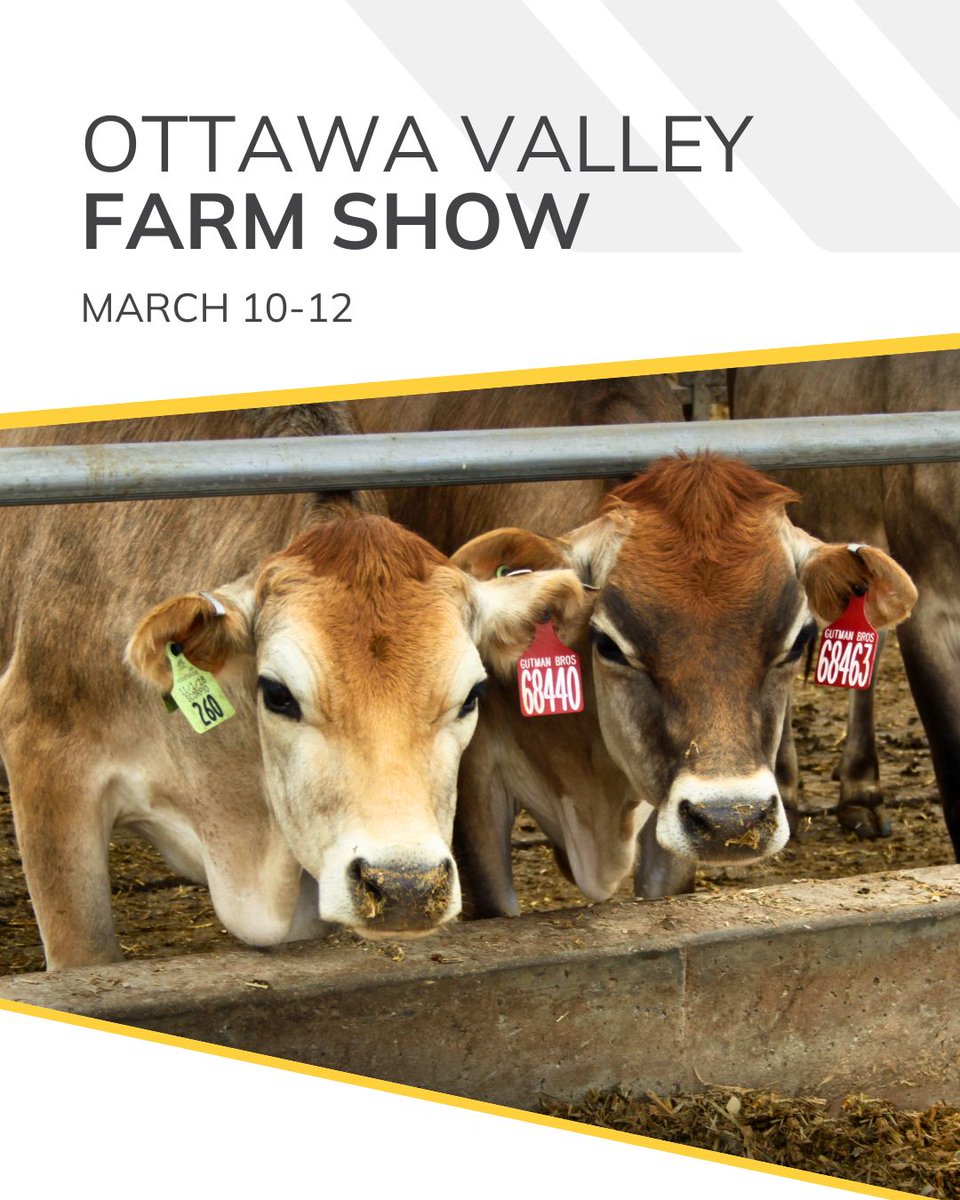 WeCover Structures tweet media