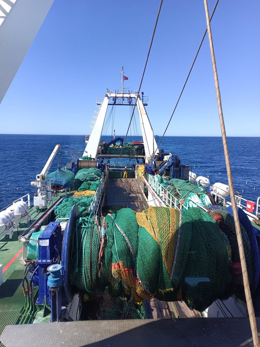 Falklands FishOps tweet media