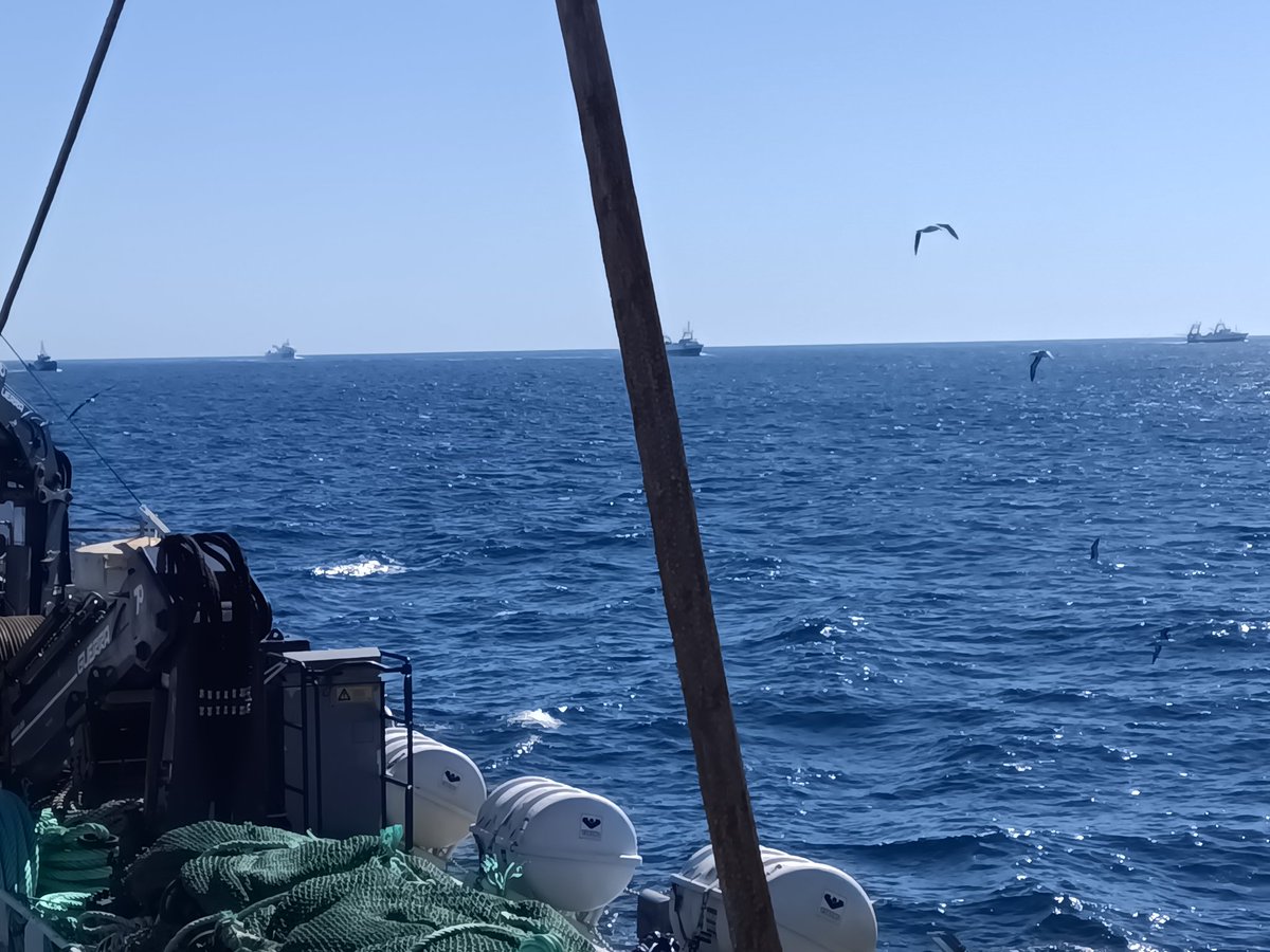 A different day, a different type of vessel inspection.  Today we were over 100nm south of the last few days inspecting Loligo Trawlers.