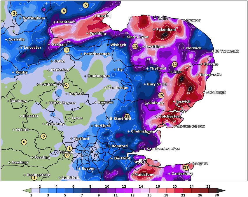 Mathew Gilbert tweet media