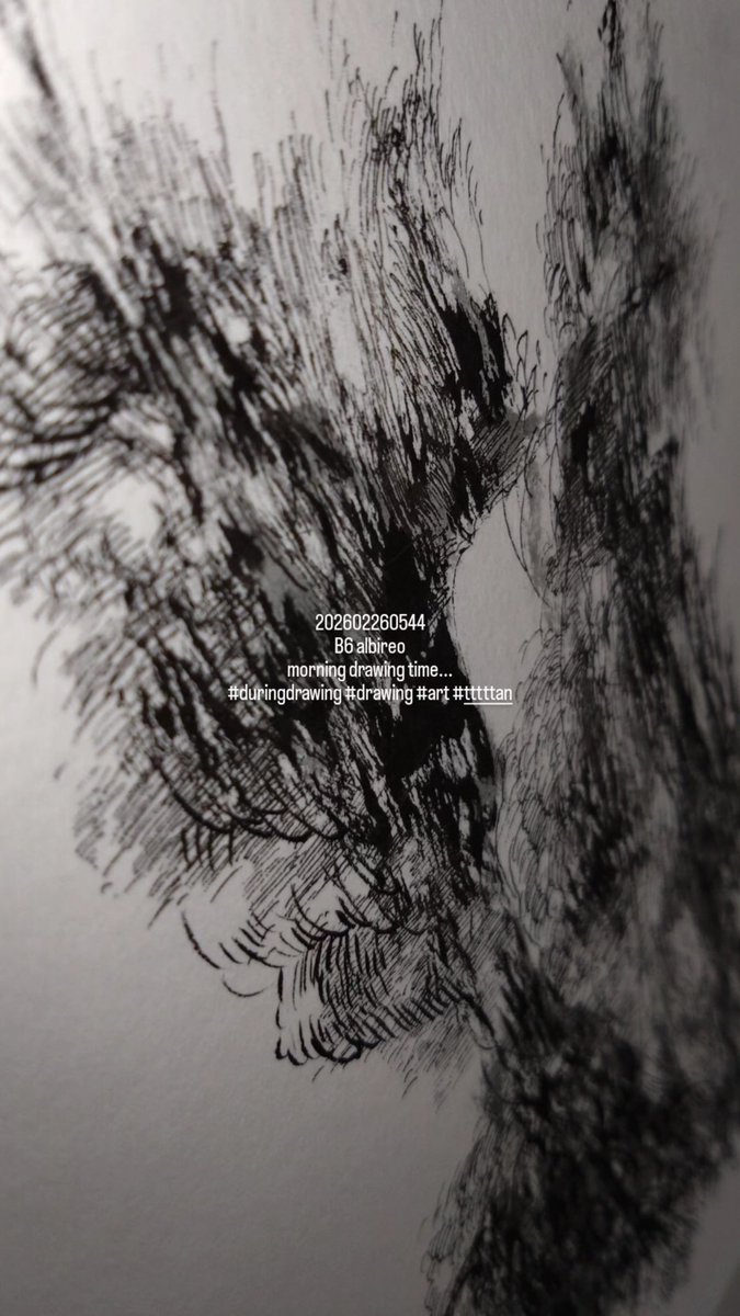 202602260544 B6 albireo morning drawing time #duringdrawing