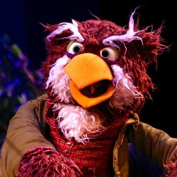 Bird Call tweet media