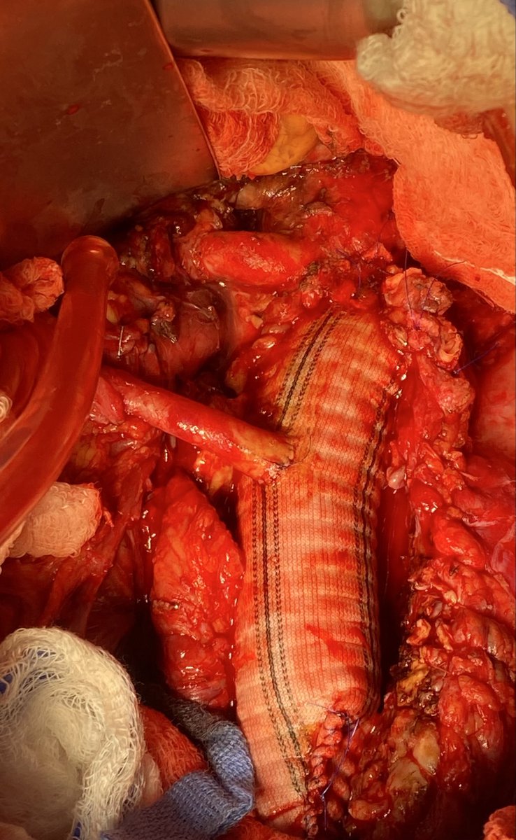 frank arko tweet media