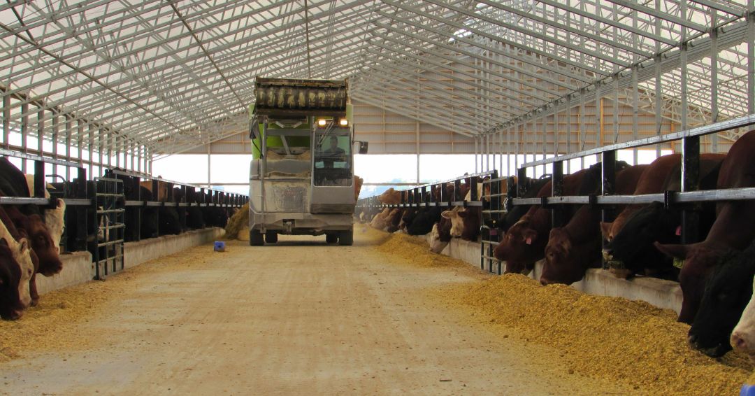 WeCover Structures tweet media