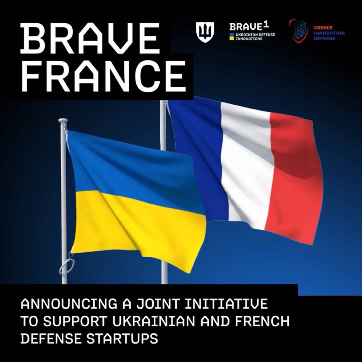 Little Think Tank tweet media