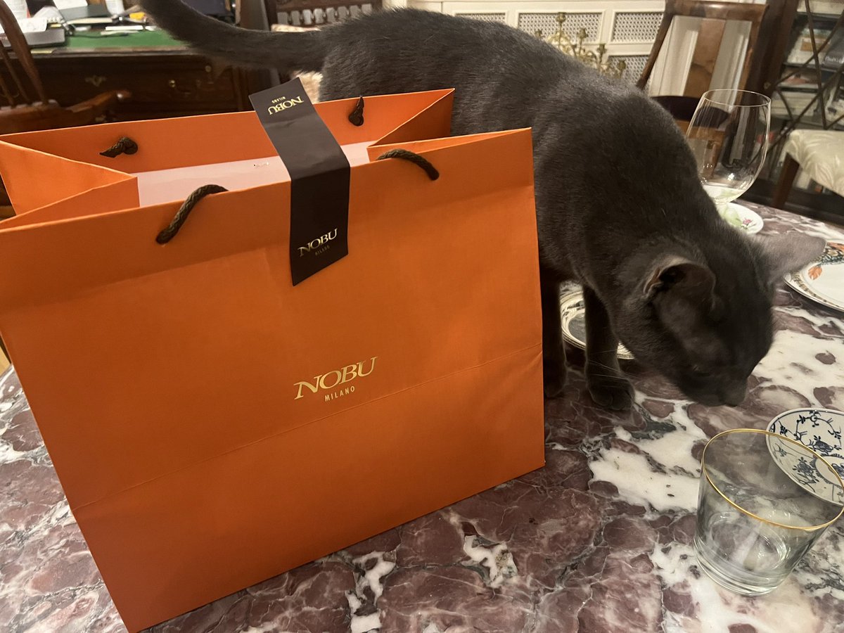 Kitty Miam Miam tweet media