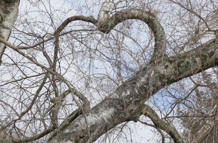 𓇢 𓆸 tweet media