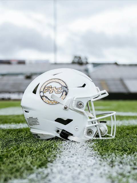 Jamo🐝 tweet media