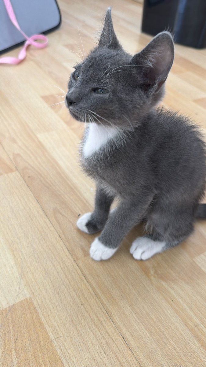 Vigilancia portátil