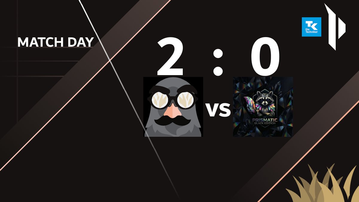 Duplex Silva - Pigeons Edition tweet media