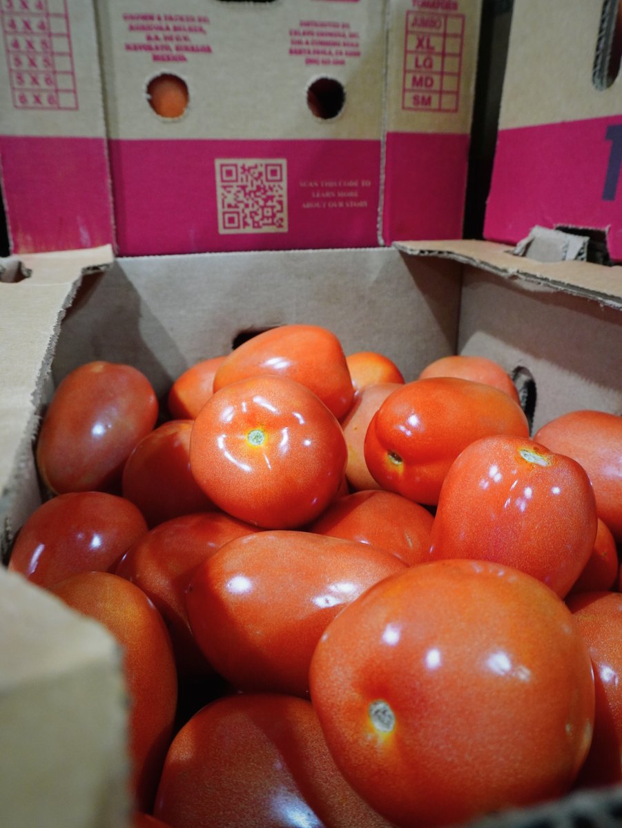 Romas are looking sharp this week 🍅🔥Clean color, solid condition, and consistent sizing across the board. Quality fruit moving the way it should. #RomaTomatoes #FreshProduce #QualityMatters #ProduceMarket #ColorSells