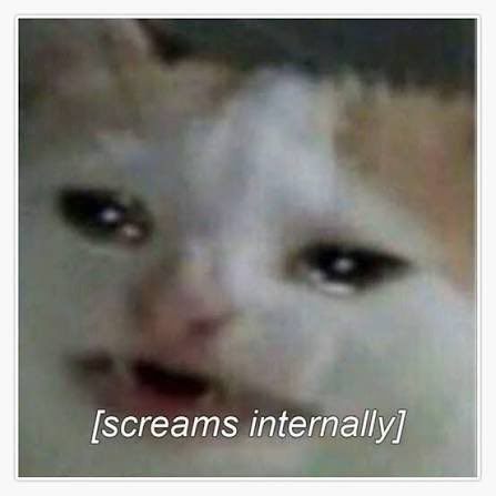 instagram no me deja subir 20 fotos…