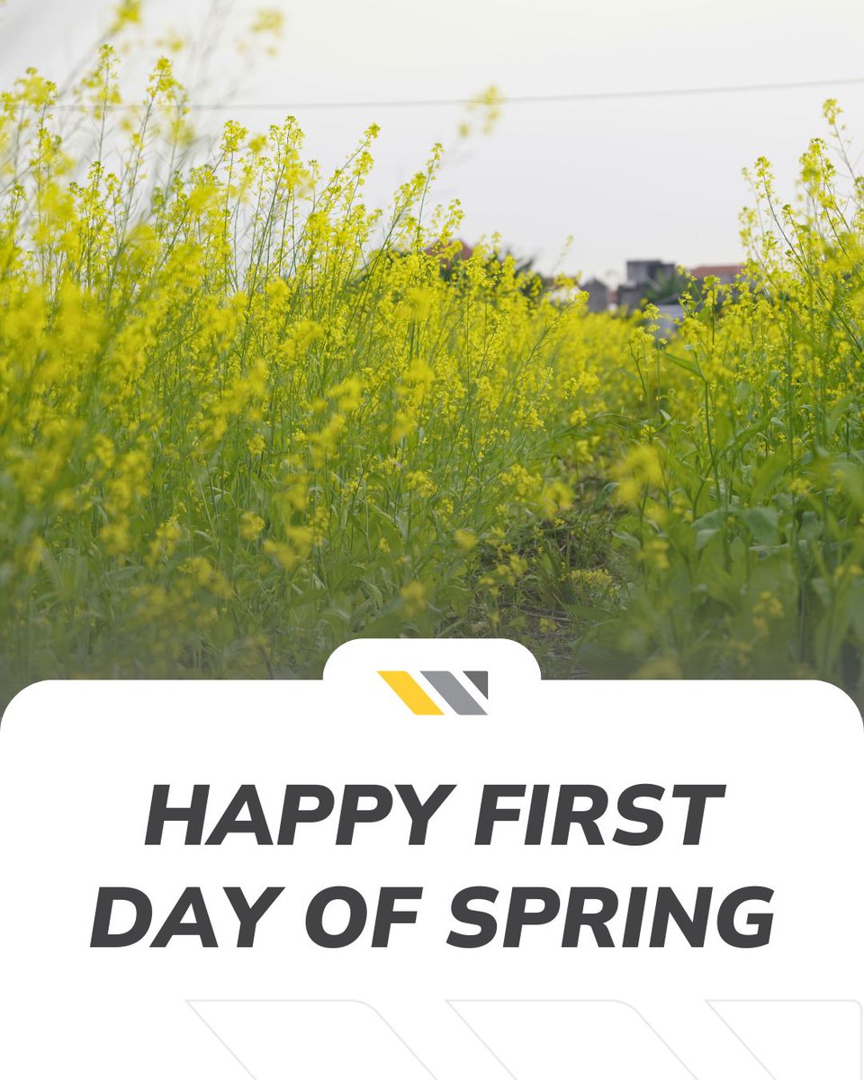 WeCover Structures tweet media