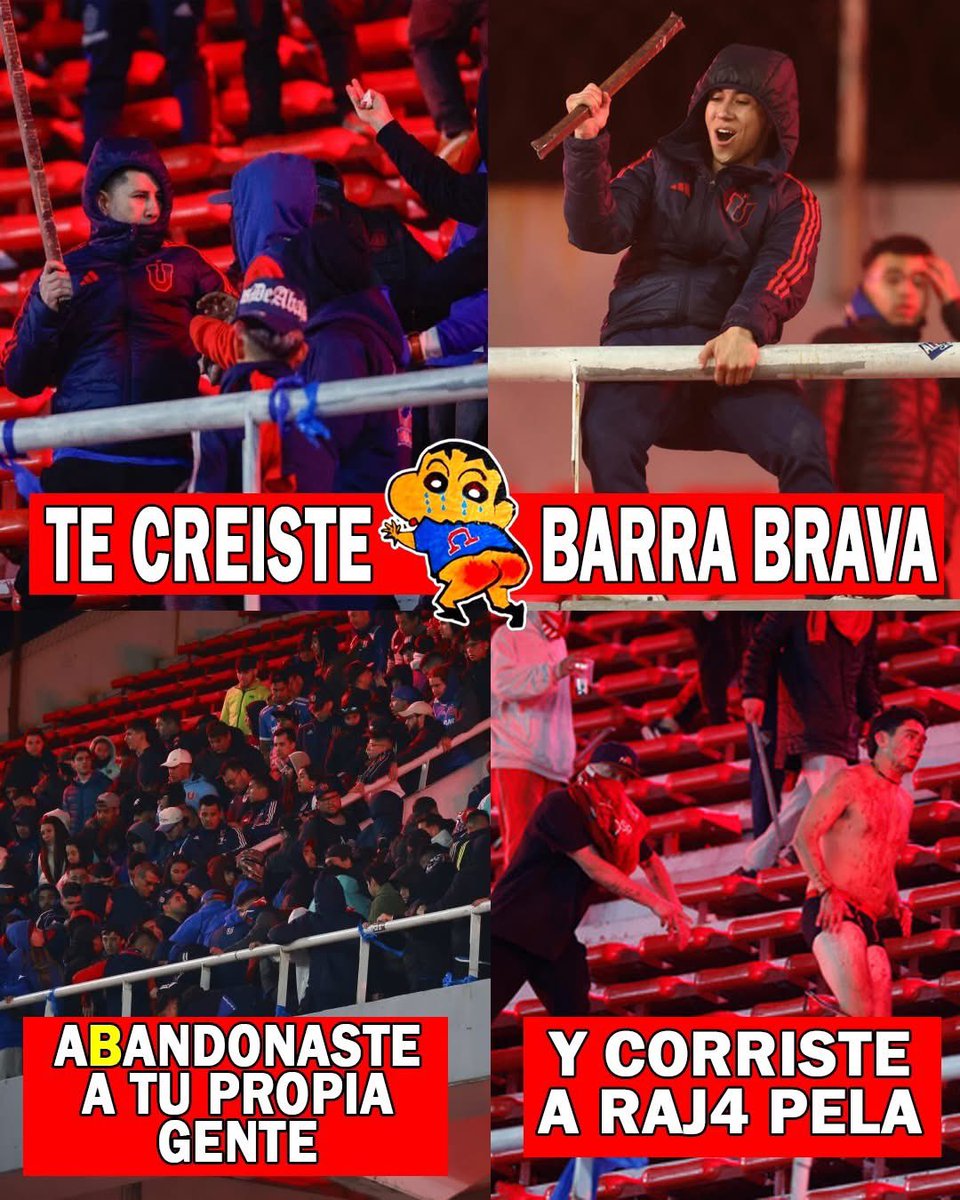 GuaripoloDelColo tweet media