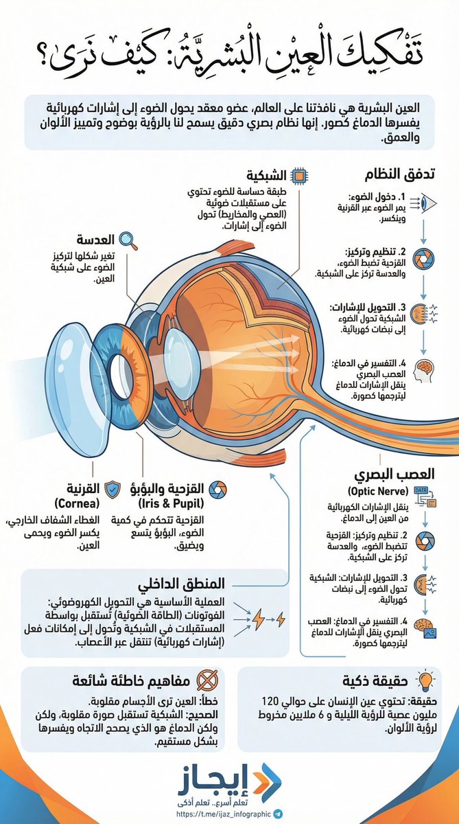 sky_manal's tweet photo. ٨ رمضان – وقفة نور | أدهشني في خلقي

أدهشني في خلقي… عيني 👁️
بها أقرأ، وأرى، وأتأمل آيات الله حولي.
معجزة دقيقة نستخدمها كل لحظة دون أن نشعر بعظمتها.
الحمد لله على نعمة البصر 💗🤲🏼

#فوتوغراف_وارفة https://t.co/2HgvFWbfHa