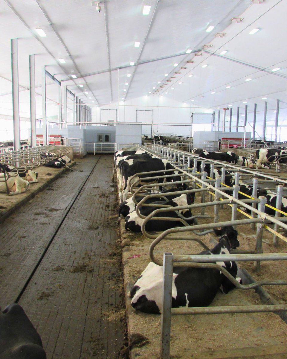 WeCover Structures tweet media