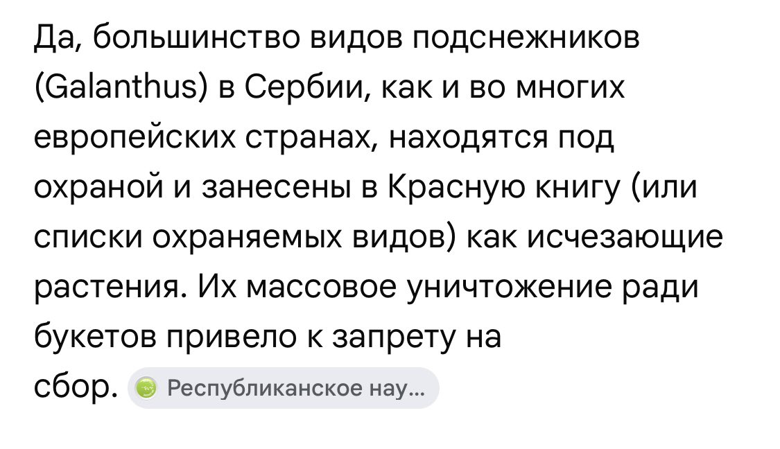 Обычная сицилийская хрень tweet media