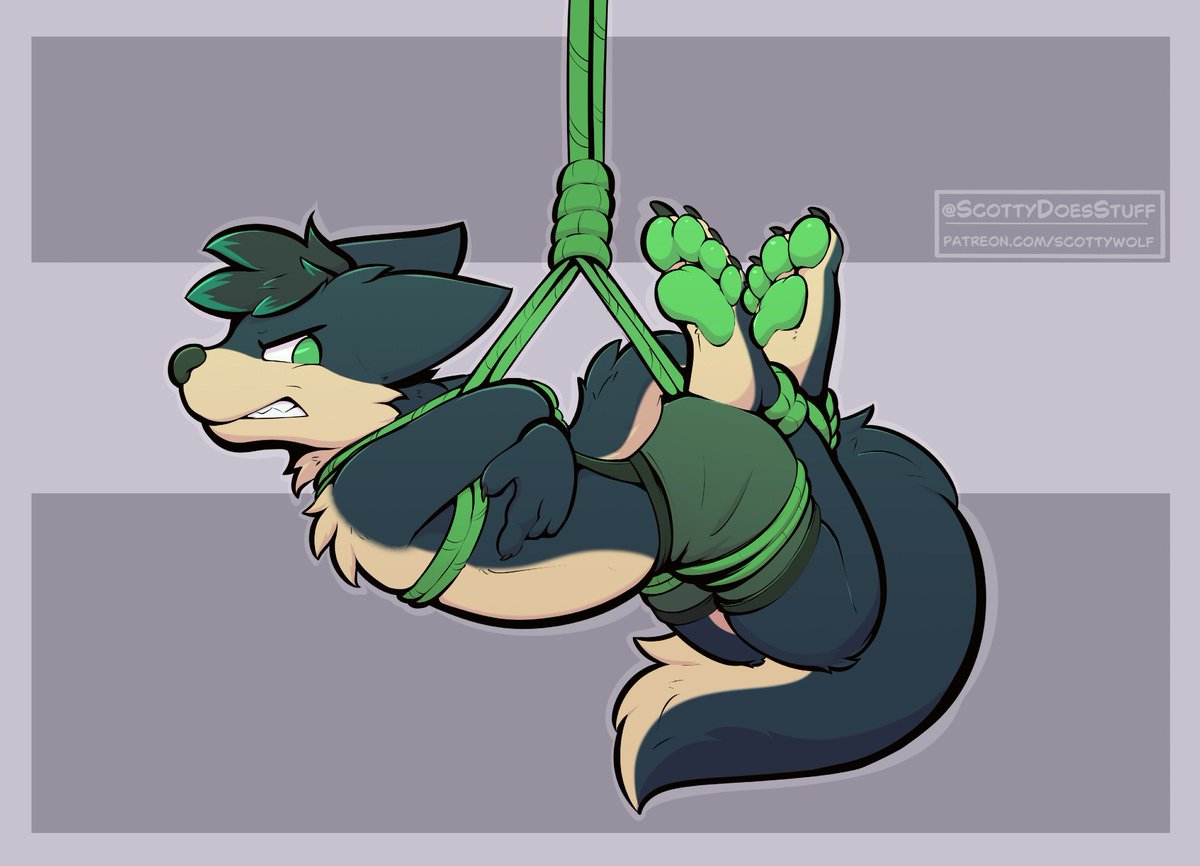 Zeph Wolf 🔜 FWA, AC 🪢🔞 tweet media