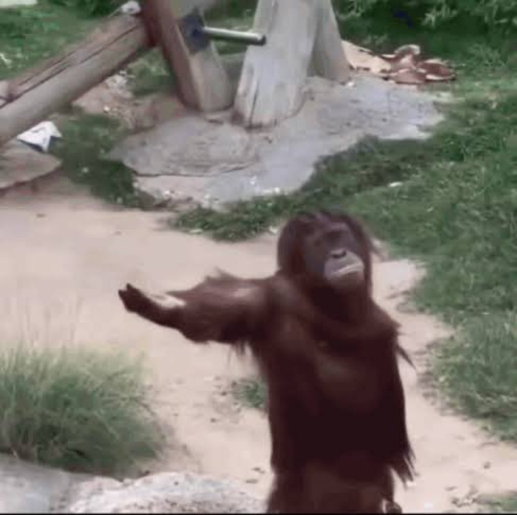 For the next 2 seasons Real Madrid is not smelling any trophy better bet me