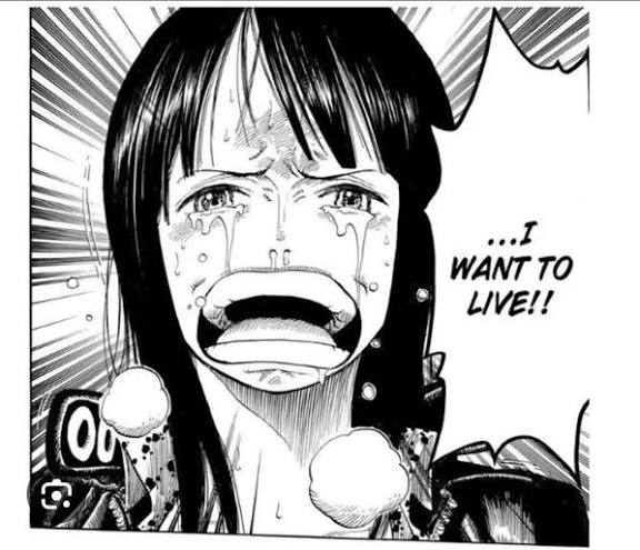 Alex Cargnelutti tweet media