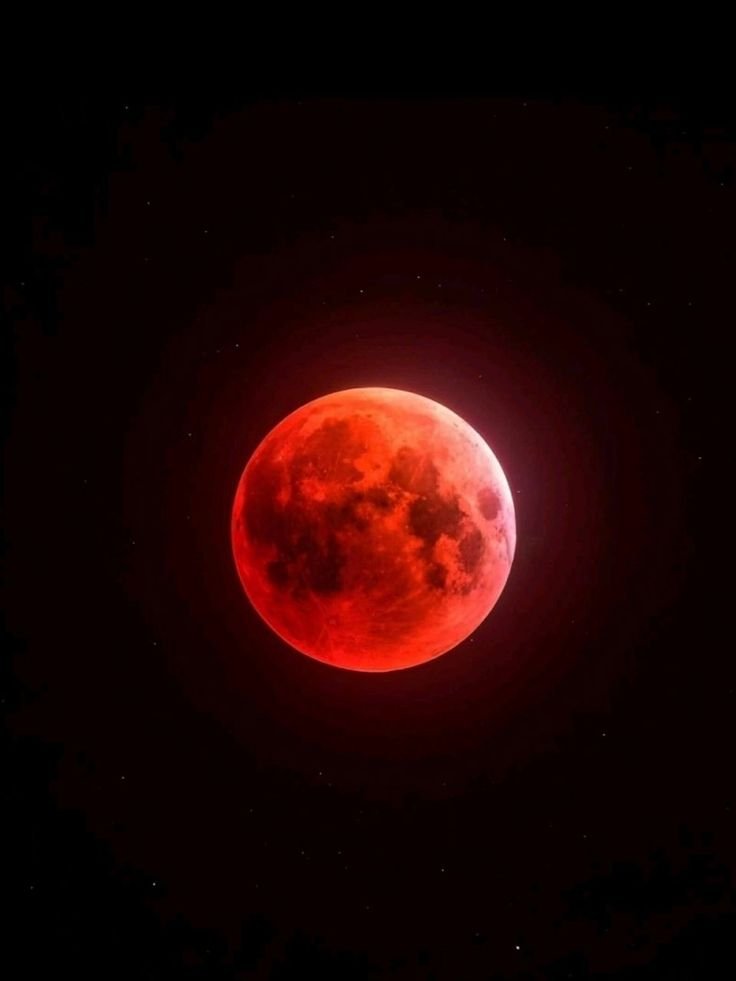 🚨: Total Lunar eclipse will turn the Moon "blood red" for 58 minutes, on March 03 next week ─ almost 6 billion humans will see it

MARK YOUR CALENDERS  ─ because something extraordinary is going to happen!