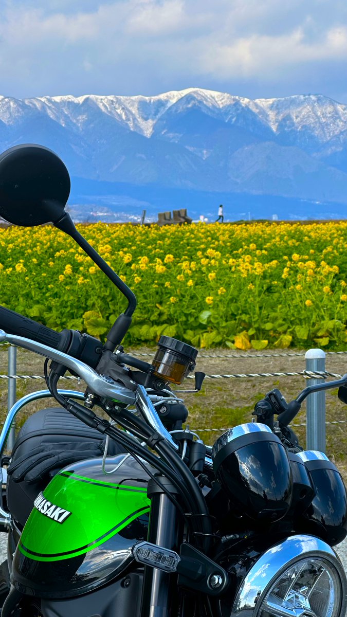 とらちゃん (@torachan675r1) / Posts / X