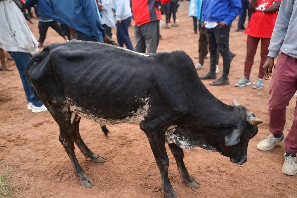 Mwamburi Mghenyi 🇰🇪 tweet media