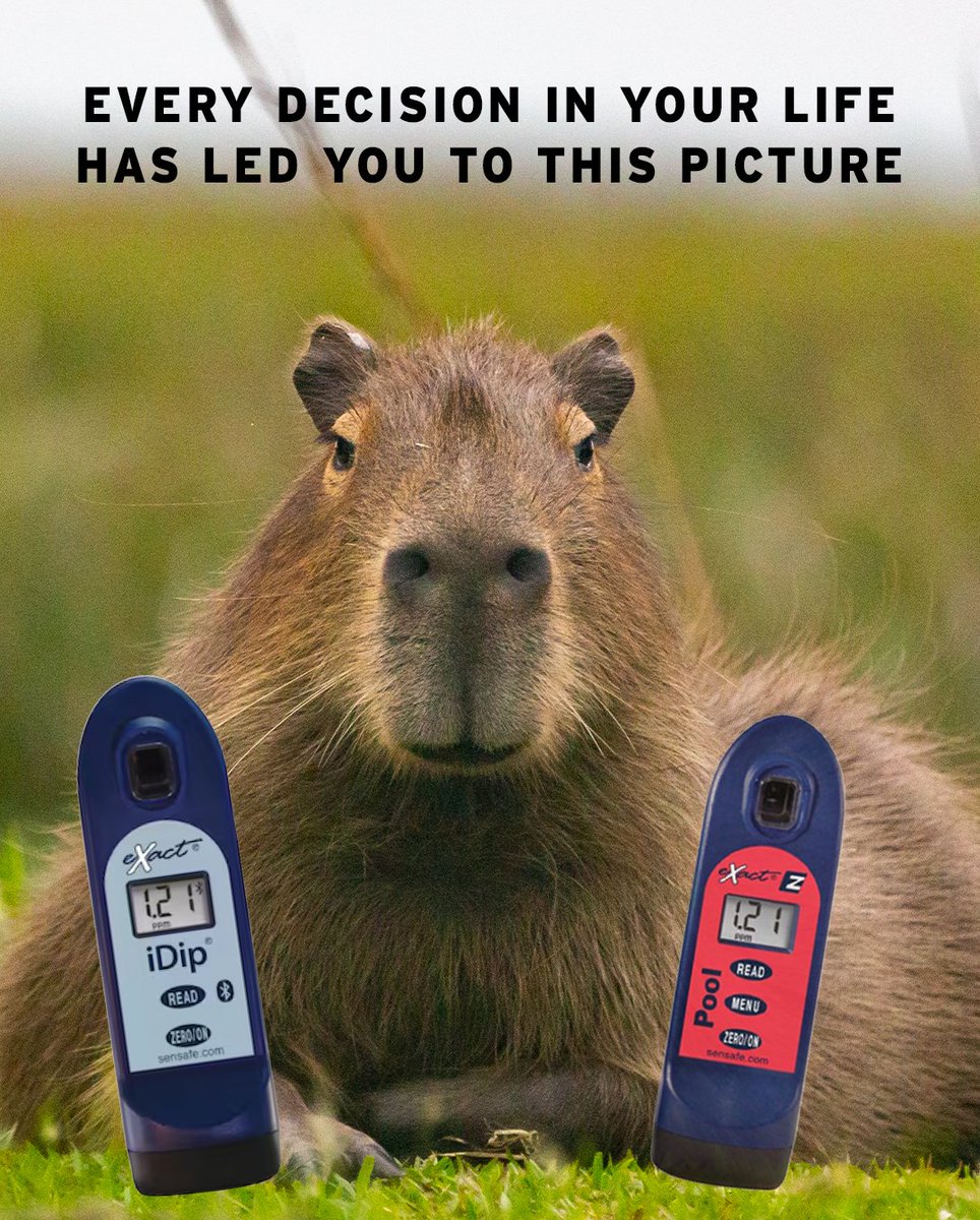 Every decision in your life should lead you to sensafe.com to pick up one of the best water testers you'll ever have.. 

#watertesting #poolseason #Capybara #capybarameme #poolandspa