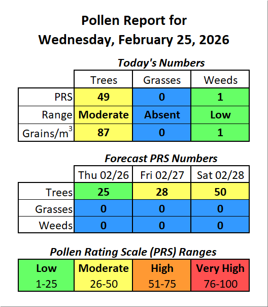 Forsyth County, NC Pollen tweet media