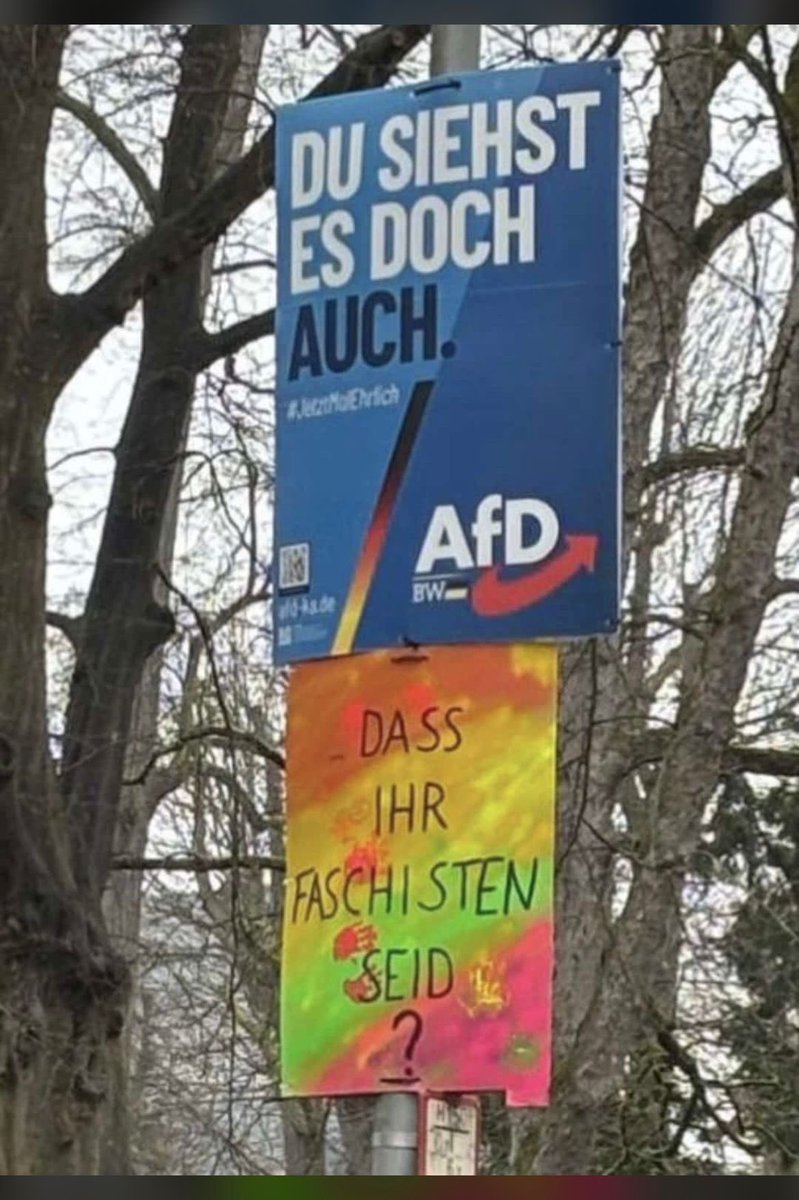 Einfach nur noch Elisabeth tweet media