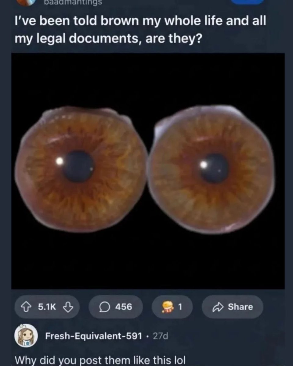 Memedroid's tweet image. why #eyes #memes #colour #questions #funny
