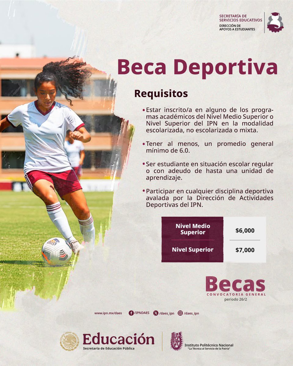 daes_ipn's tweet photo. #BecasIPN | 🏆🔥 Entrenas, compites y sigues estudiando.
La Beca Deportiva impulsa tu permanencia escolar mientras practicas deporte.
💰 $6,000 y $7,000 según nivel
🚀 Regístrate en la 26/2: https://t.co/AfVaFRgrEO
@sse_ipn 
#BecaDeportiva #OrgulloPolitécnico https://t.co/fRLNN8acaP