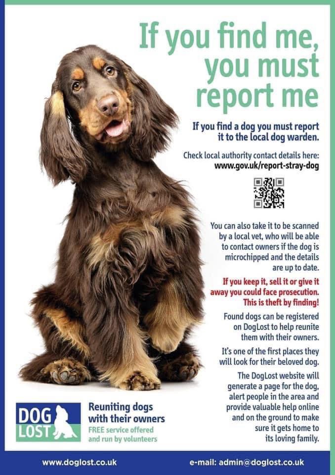 rosieDoc2's tweet image. THANK YOU EVERYONE FOR JOINING IN FOR #SpanielHour 

Please one last RT tonight ⬇️ TY X

IF YOU OR SOMEONE YOU KNOW HAVE FOUND A DOG? You do know it’s LAW to report to #DogWarden ???? 
If you find and keep a pet-it’s still classed as #DogTheft