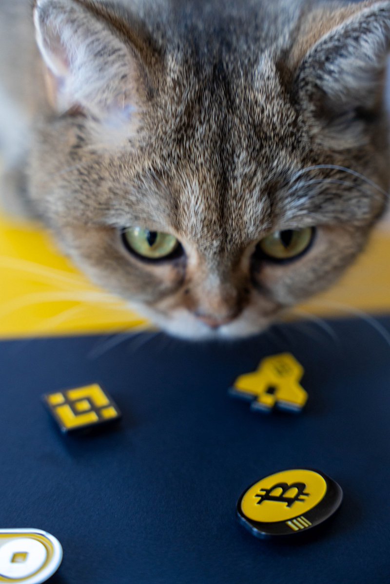 Which one to wear..?