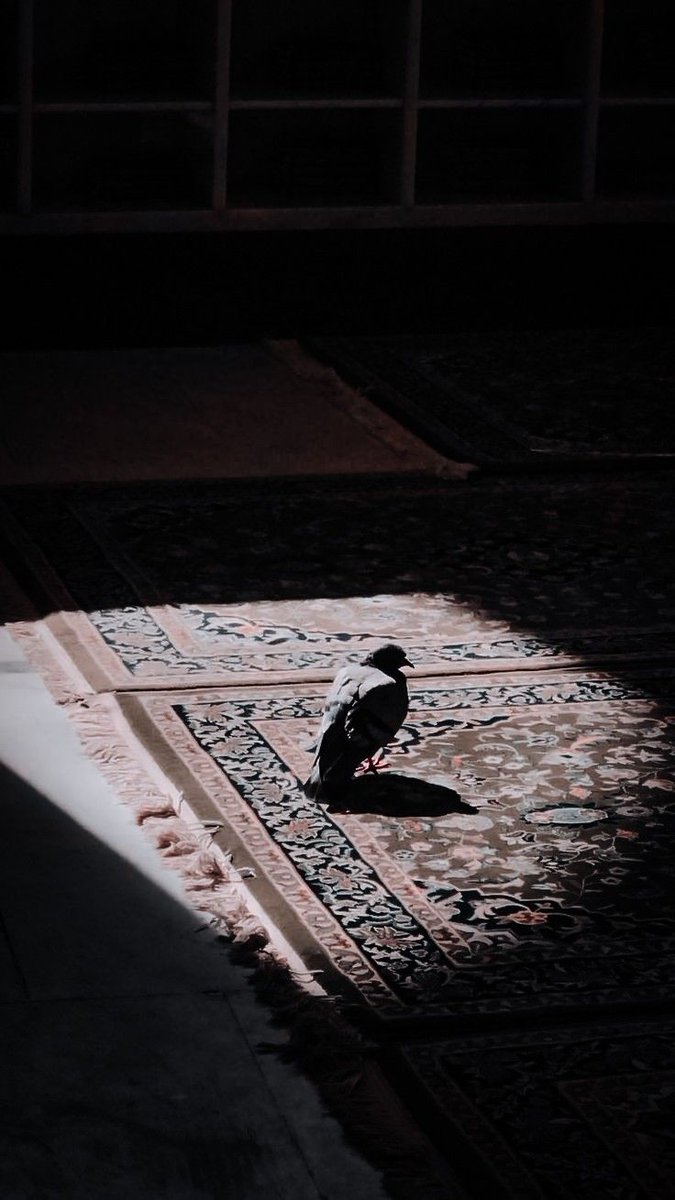 "Allah'tan başka ne bir dostunuz,
ne de bir yardımcınız vardır."

Bakara Sûresi, 107