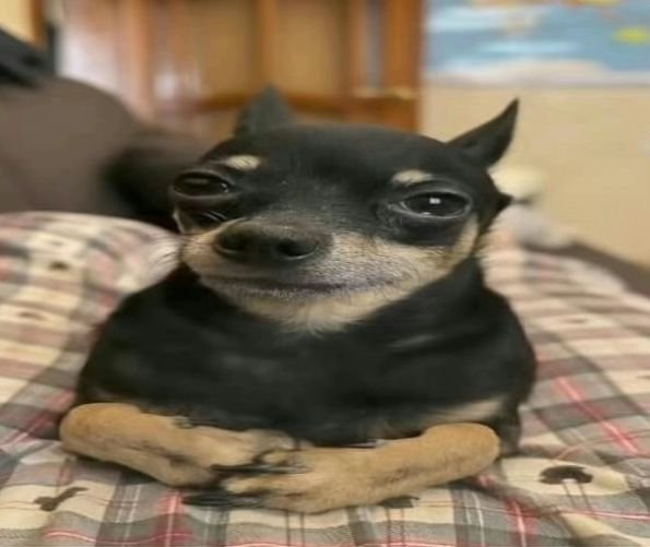 been consuming so much heehee man media lately, that i now get a hard-on for niggas with small waists.